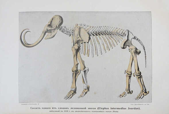 Крэмер Г. Вселенная и человечество: в 5 т. / Пер. с нем. под общей ред. проф. А.С. Догеля. СПб.: Просвещение, 1896.